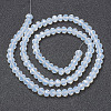 Glass Beads Strands EGLA-A034-J10mm-D06-2