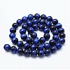 Natural Tiger Eye Beads Strands G-F561-10mm-B02-2