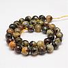 Faceted Natural Fire Crackle Agate Beads Strands G-F447-10mm-A09-2