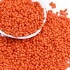 Baking Paint Glass Seed Beads SEED-K010-A10-1