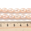 Natural Cultured Freshwater Pearl Beads Strands PEAR-P062-10G-5