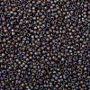 TOHO Round Seed Beads SEED-XTR08-0166CF-2