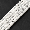 Natural Howlite Beads Strands G-I341-04-3