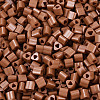 FGB Baking Paint Glass Seed Beads SEED-Q040-09A-07-3