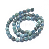 Natural Apatite Beads Strands G-K303-B14-8mm-2