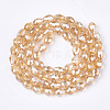 Electroplate Glass Beads Strands EGLA-T013-05J-2