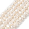 Natural Cultured Freshwater Pearl Beads Strands PEAR-P064-19J-02B-2