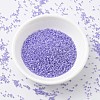 MIYUKI Delica Beads SEED-X0054-DB0249-2