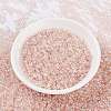 MIYUKI Round Rocailles Beads X-SEED-G008-RR0365-2