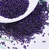MIYUKI Delica Beads SEED-J020-DB0609-1