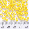 12/0 Baking Paint Glass Round Seed Beads SEED-S036-01A-05-3