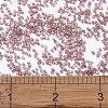MIYUKI Delica Beads X-SEED-J020-DB1879-4