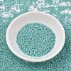 MIYUKI Delica Beads SEED-MY11-DB1567-2