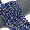 Dyed Natural Lapis Lazuli Beads Strands G-K389-E63-01-2