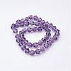 Purple Color Faceted Bicone Glass Beads Strands X-GLAA-S026-6mm-03-2