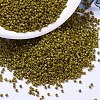 MIYUKI Delica Beads X-SEED-J020-DB2141-1