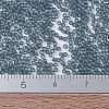 MIYUKI Delica Beads Small SEED-JP0008-DBS0387-4