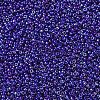 MIYUKI Round Rocailles Beads SEED-G007-RR0484-2