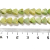 Natural Dolomite Beads Strands G-F765-H04-01-5