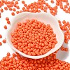 6/0 Opaque Baking Paint Glass Seed Beads X1-SEED-M012-02A-05-2