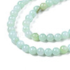 Natural Freshwater Shell Beads Strands BSHE-T009A-01D-3