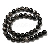 Natural Black Fossil Coral Beads Strands G-R494-A04-04-2