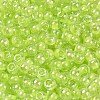 Glass Seed Beads SEED-H002-L-A233-3