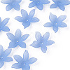 Transparent Acrylic Beads MACR-S373-127-D04-1