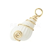Natural Trumpet Shell Pendants PALLOY-JF02794-01-4