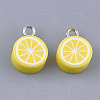 Handmade Polymer Clay Charms CLAY-S091-101-1