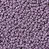 MIYUKI Round Rocailles Beads X-SEED-G007-RR2025-3