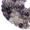 Natural Fluorite Beads Strands G-E598-02A-4