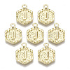Alloy Pendants PALLOY-N157-003J-NR-1