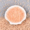 FGB Frosted Transparent Glass Seed Beads SEED-N013-05A-03-2