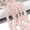 Natural Rose Quartz Chip Bead Strands G-M205-02A-2