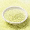 MIYUKI Round Rocailles Beads X-SEED-G009-RRHB267-2