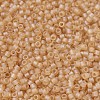 MIYUKI Delica Beads SEED-X0054-DB0852-3