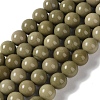 Natural Alashan Agate Beads Strands G-P530-B05-04-1