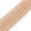 Transparent Glass Beads Strands X-EGLA-A034-T10mm-MD20-1