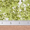 MIYUKI Delica Beads X-SEED-J020-DB2377-4