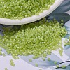 MIYUKI Delica Beads SEED-MY11-DB0860-1