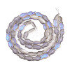 Frosted Glass Beads Strands X-GLAA-T023-40C-04-2