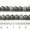 Ombre Effect Dyed Glass Beads Strands GLAA-T031-01O-13-5