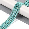 Synthetic Turquoise Beads Strands G-U004-02E-2