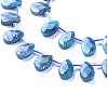 Natural Apatite Beads Strands G-G805-B02-3