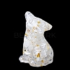 Resin Cat Display Decoration PW-WGDEB48-01-1