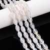 Natural White Agate Beads Strands G-T138-180A-1
