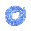 Transparent Glass Beads Strands EGLA-A044-T4mm-MB14-3