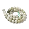 Natural Jade Beads Strands G-H298-A16-04-3