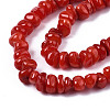 Natural Freshwater Shell Beads Strands X-SHEL-S278-041-3
